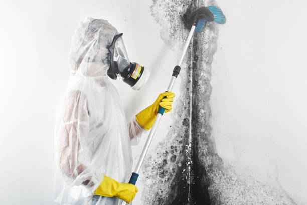  Yoncalla, OR Mold Removal Pros