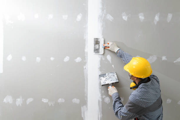 Best Emergency Mold Remediation  in Yoncalla, OR