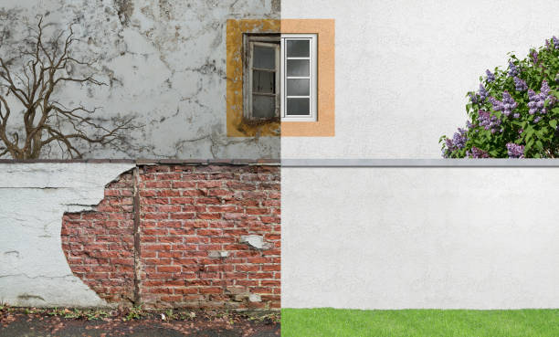 Best Mold Remediation for Healthcare Facilities  in Yoncalla, OR